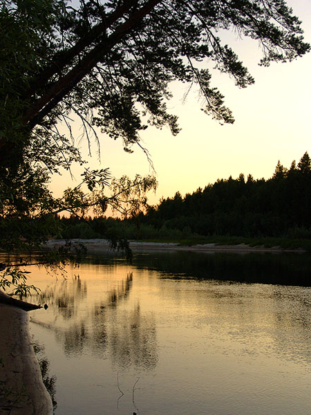 фото "расплавленное серебро" метки: пейзаж, вода, лес