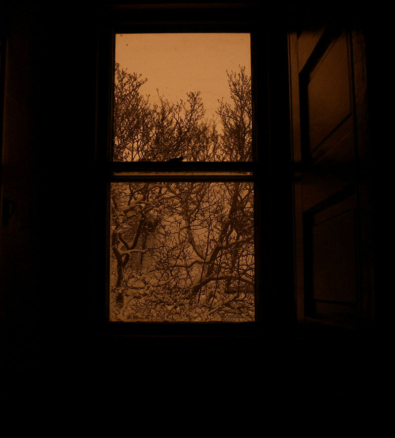 photo "Window 2004" tags: misc., 