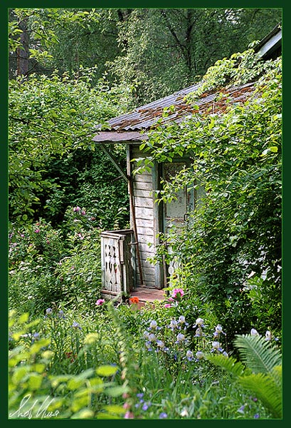 photo "Small house in a garden" tags: landscape, forest, summer