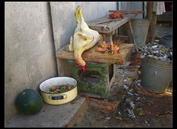 photo "Still-life with feathers" tags: genre, old-time, 