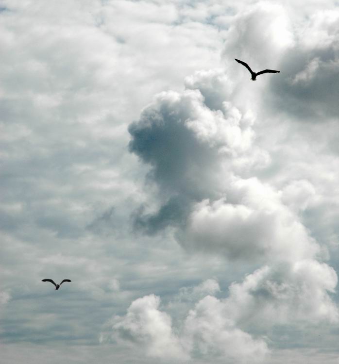 фото "clouds" метки: пейзаж, фотомонтаж, облака
