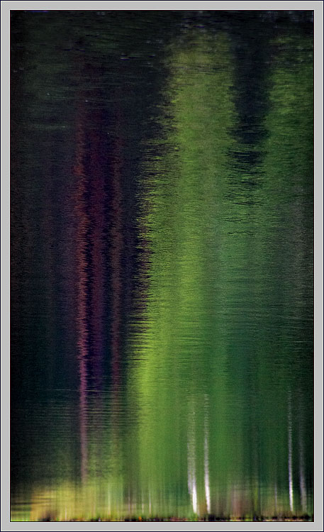 photo "Birches - 2" tags: landscape, forest, water