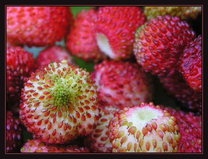 photo "strawberry" tags: macro and close-up, 