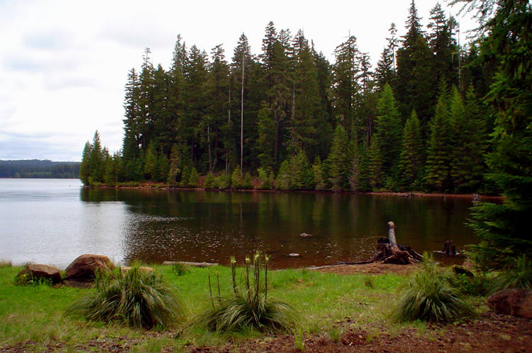 photo "(+++)" tags: landscape, forest, water