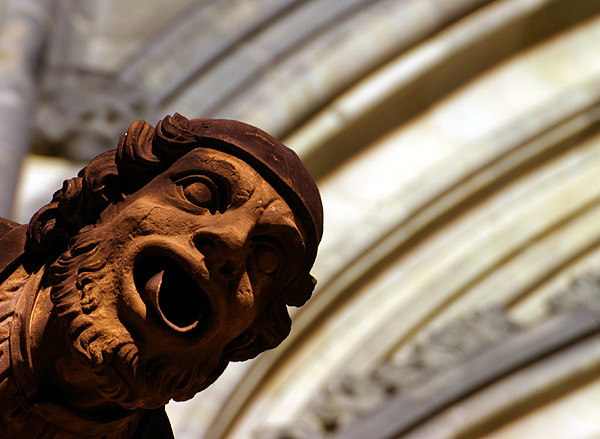 photo "The Head" tags: misc., 