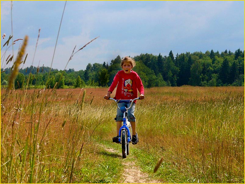 photo "Summer in a village" tags: misc., 