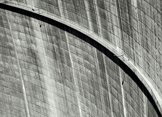 photo "DAm" tags: misc., 