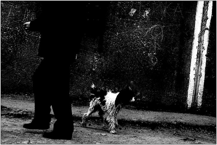 photo "Dependence - 2" tags: genre, black&white, 