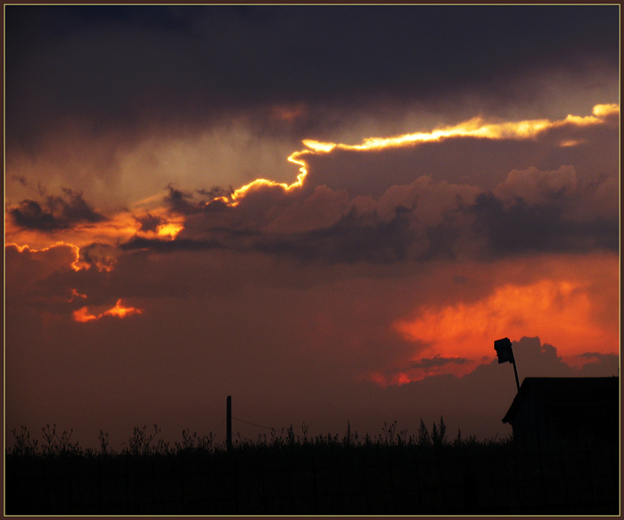 photo "Starling-house." tags: genre, 