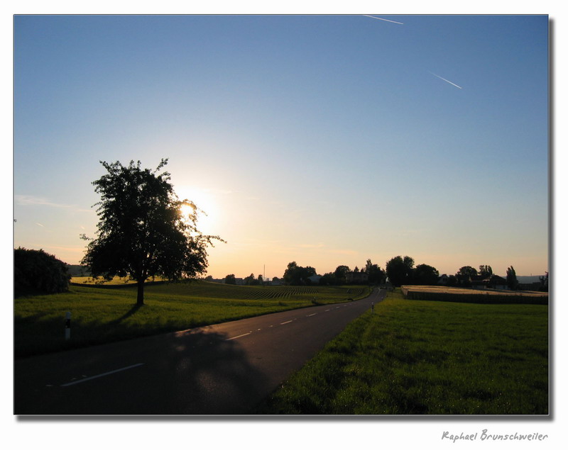 photo "Sunset" tags: landscape, sunset