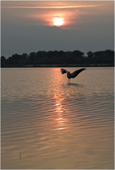 photo "Lake" tags: nature, landscape, sunset, wild animals