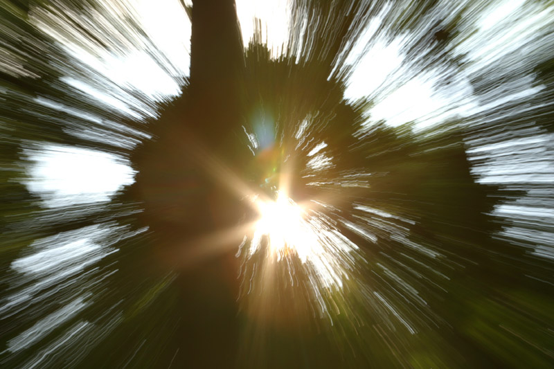 photo "With Velocity of Light" tags: abstract, landscape, forest