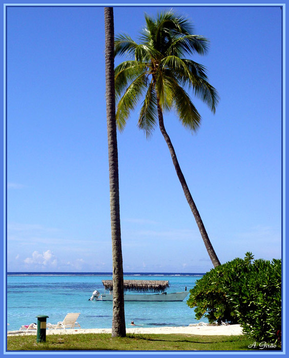 photo "That`s Holiday Time" tags: landscape, summer, water