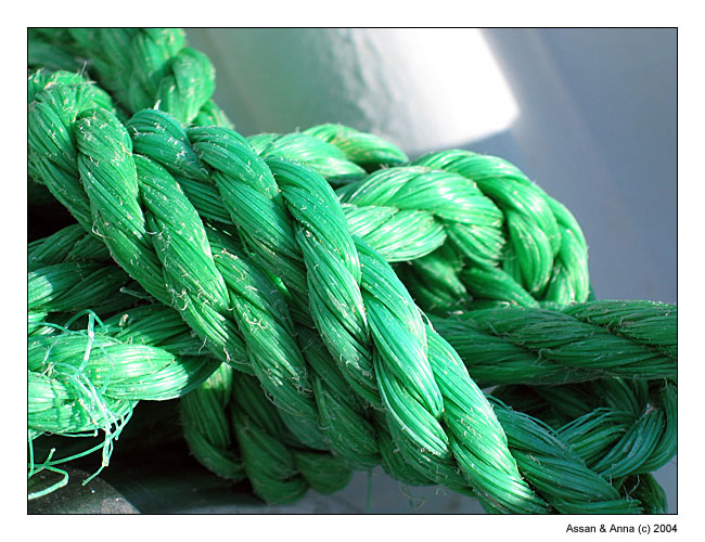 photo "Gordian Knot" tags: still life, 