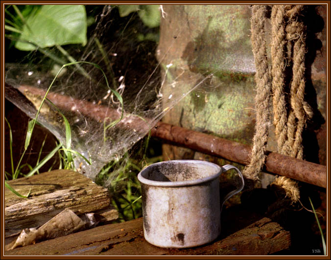 photo "AGING MUG" tags: still life, 