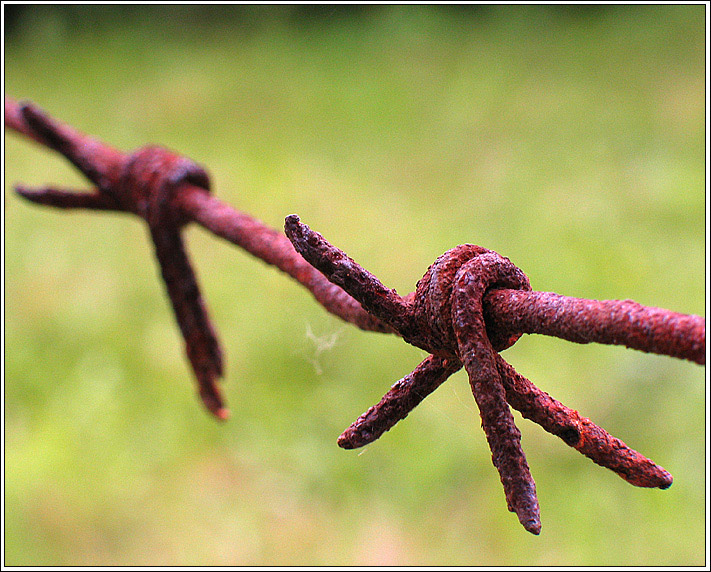 photo "fingers a fan..." tags: macro and close-up, misc., 