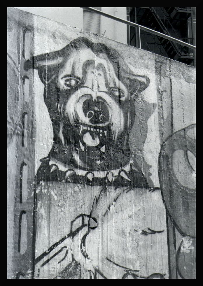 photo "Graffiti dog" tags: architecture, black&white, landscape, 