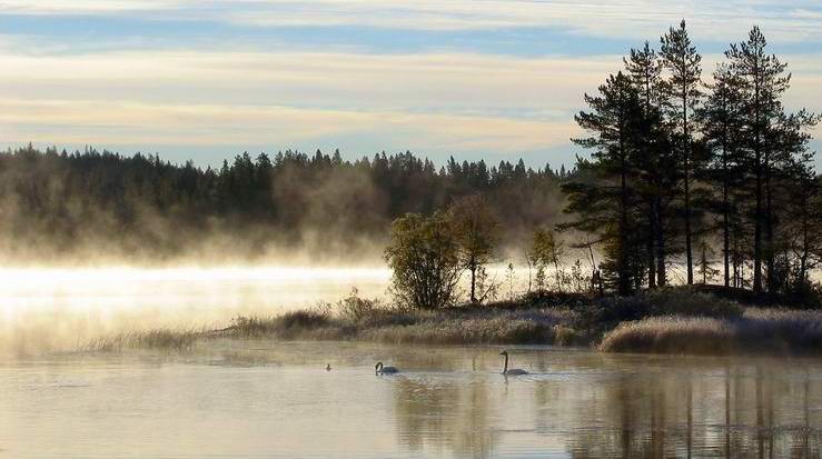 photo "Cold morning" tags: landscape, autumn, water