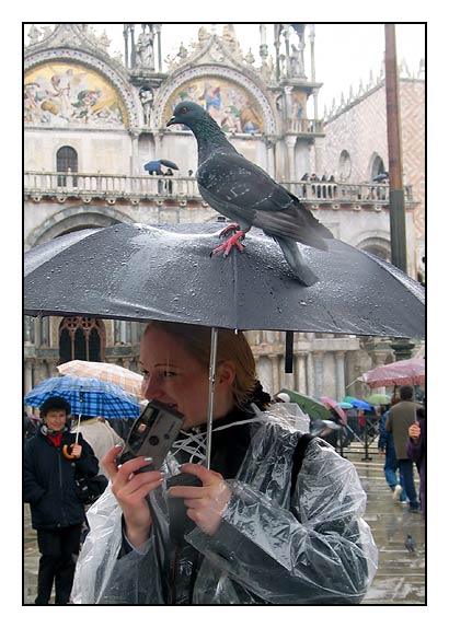 фото "Птичка, наконец, вылетела" метки: разное, путешествия, Европа