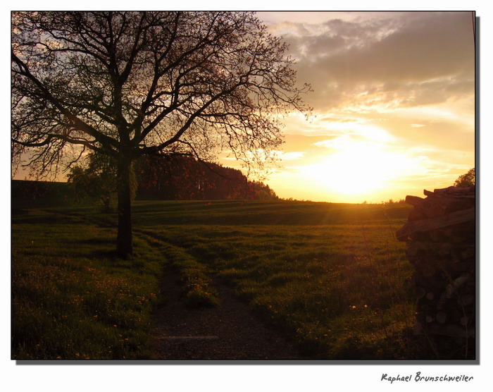 photo "Sunset in Switzerland" tags: landscape, travel, Europe, sunset