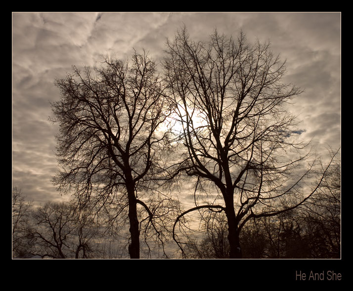 photo "He and She" tags: landscape, forest, winter