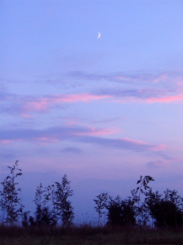 photo "S3" tags: landscape, clouds, summer