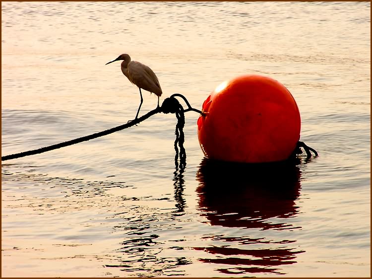 photo "At the crack of dawn in a little port." tags: landscape, nature, sunset, wild animals