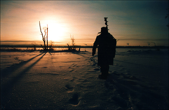 photo "Alone #2 (color)" tags: landscape, genre, winter