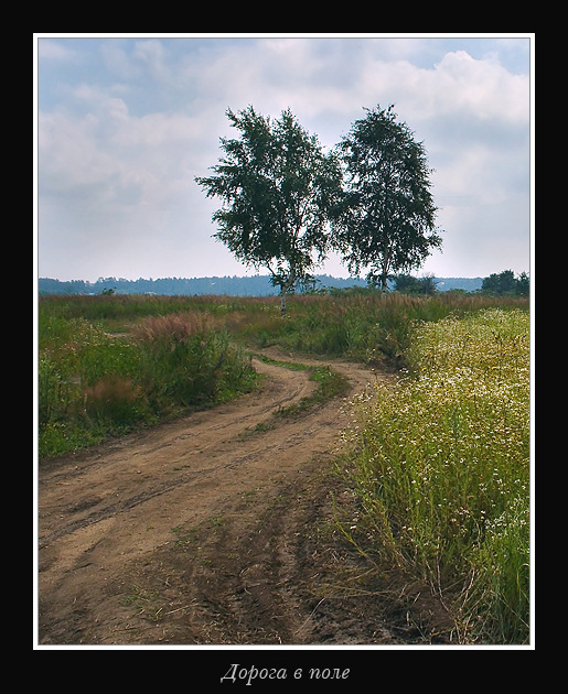 photo "It is dear in a field" tags: landscape, summer