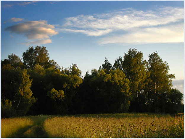 photo "Untitled photo" tags: landscape, summer