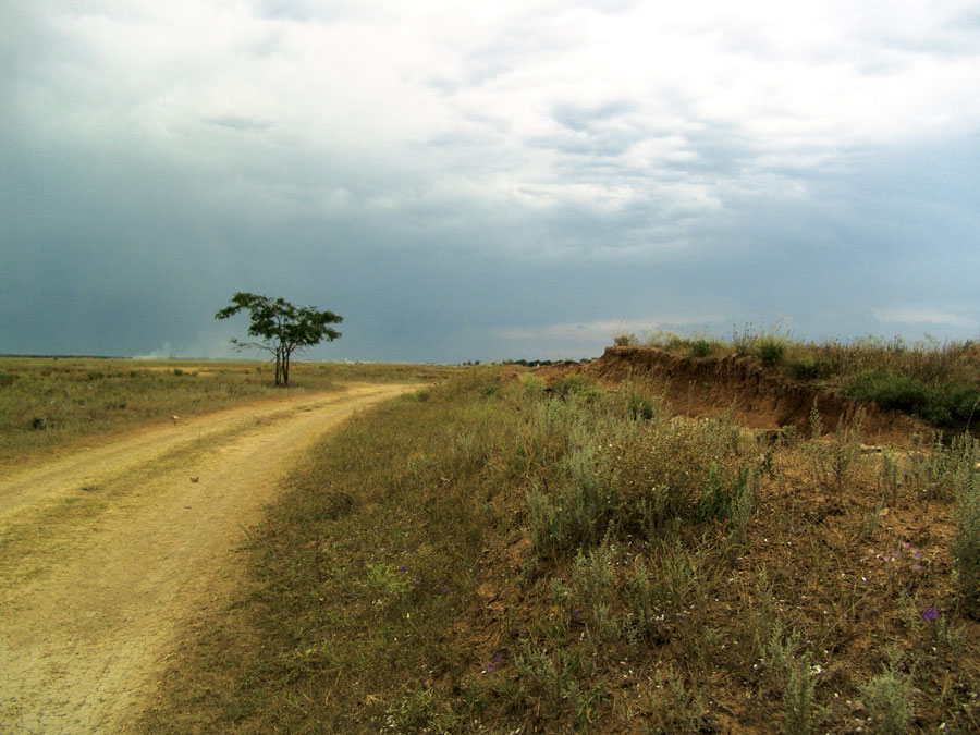 photo "Before a thunder-storm" tags: genre, landscape, clouds