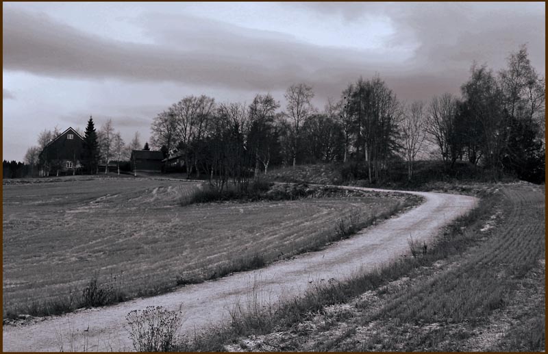 photo "Presentiment of the winter" tags: black&white, landscape, autumn