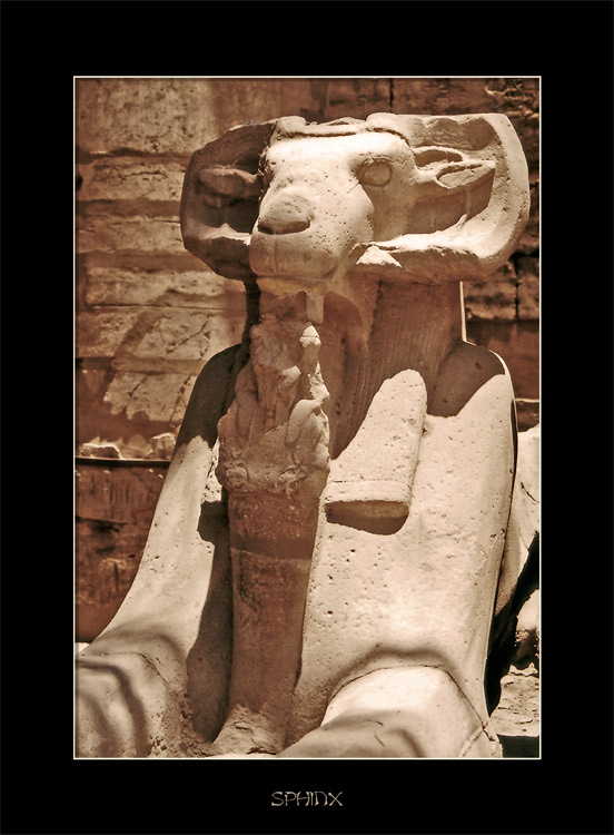 photo "SPHINX" tags: misc., travel, Africa