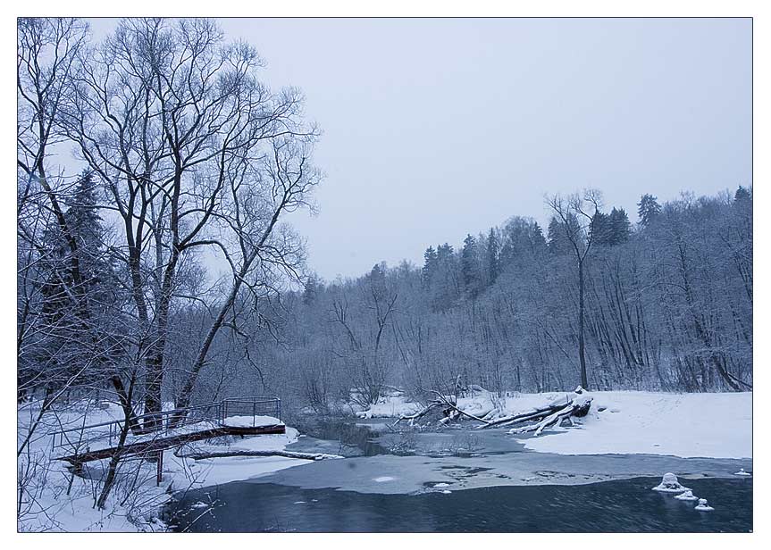 photo "The bridge on Ice cold" tags: landscape, forest, winter