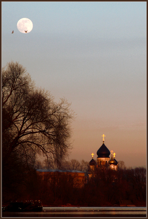 photo "We fly together." tags: genre, 