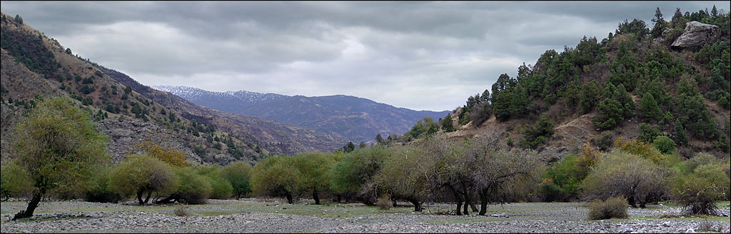 фото "Панорама Каратагского ущелья." метки: пейзаж, весна, горы