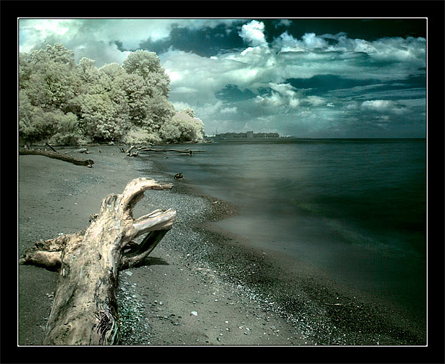 photo "Too strange summer" tags: landscape, summer, water