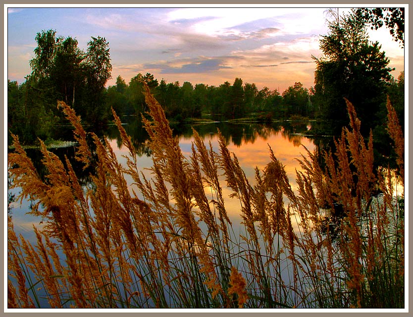 photo "Warm evening landscape" tags: landscape, sunset, water