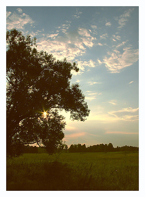 фото "Вечерний свет" метки: пейзаж, закат, лето