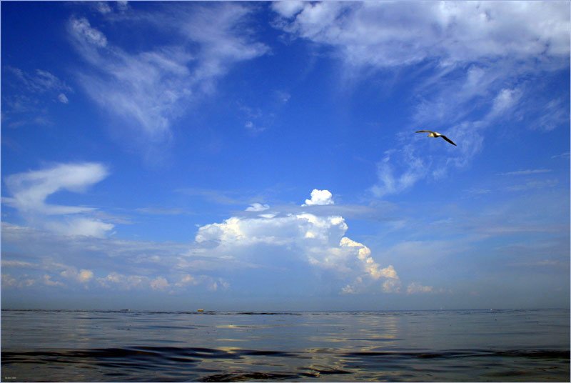фото "Балтийский простор" метки: пейзаж, вода, облака