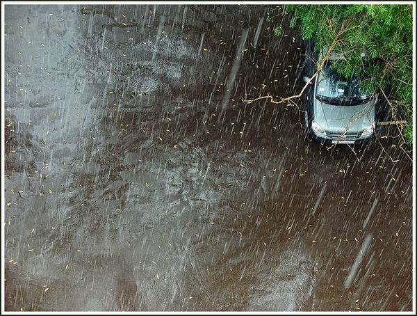 photo "Hailstones" tags: landscape, water