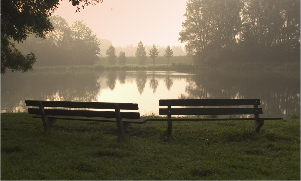 photo "Benches" tags: portrait, nature, 