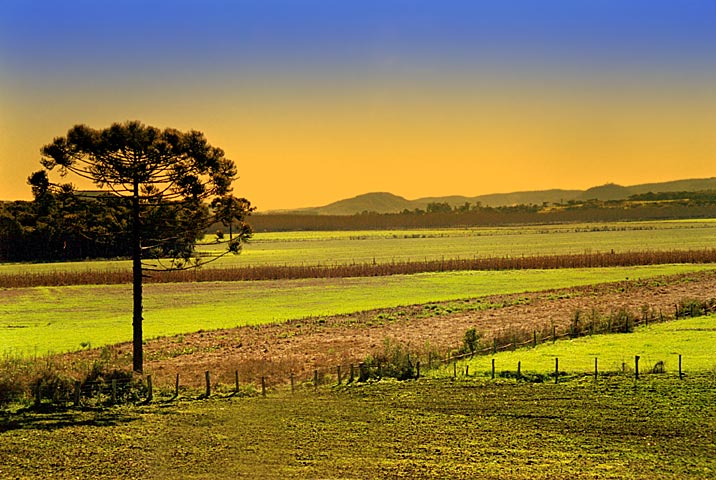 photo "Rural scene" tags: landscape, sunset