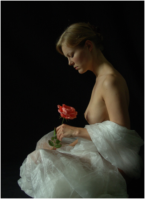 photo "Die Rose" tags: nude, 