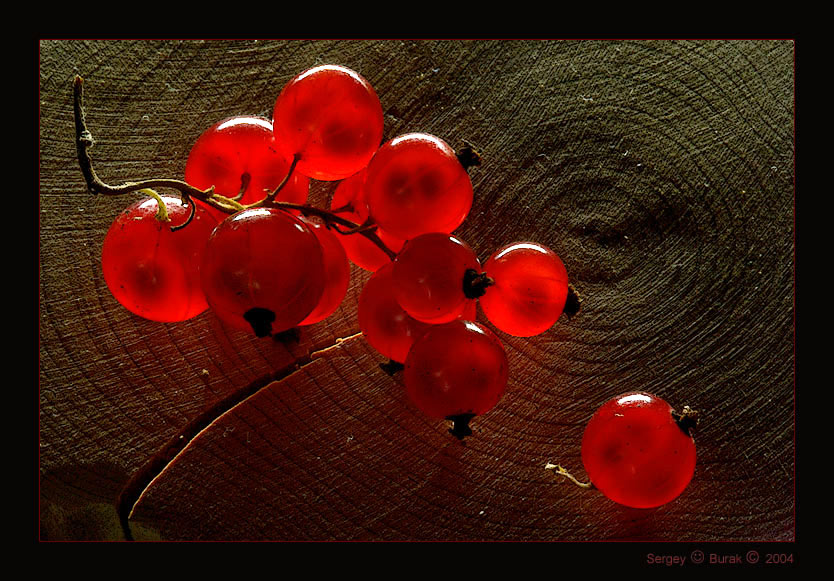 photo "Currant red" tags: still life, macro and close-up, 