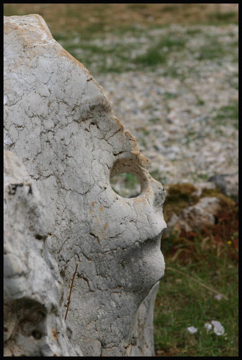 photo "The Stone. Part 2: Cranium" tags: nature, travel, Europe
