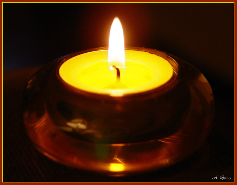 photo "Flame of Love" tags: macro and close-up, still life, 