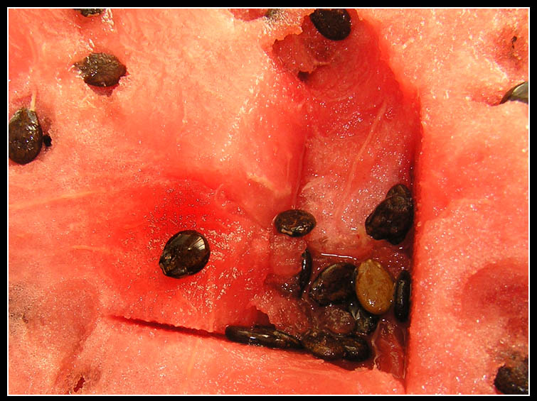 фото "Love is..." метки: жанр, разное, 