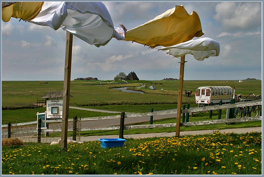 photo "Wash-day on Hallig Hooge" tags: landscape, clouds