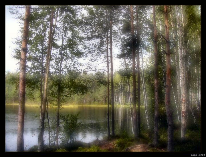 фото "Легенды лесного озера" метки: пейзаж, лес